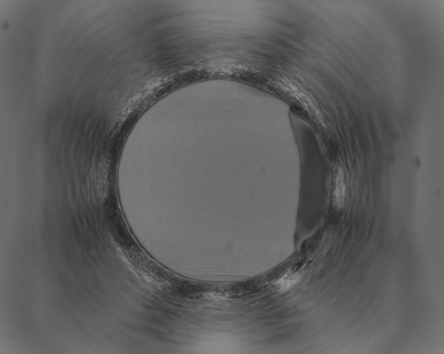 X0000087330496200705181040