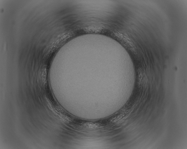 X0000087330498200705181040