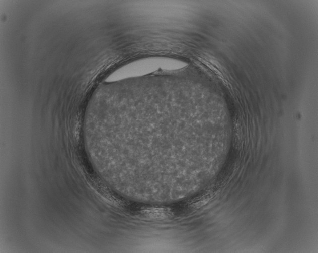 X0000087330499200705181040