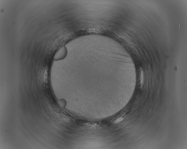 X0000087330502200705181040