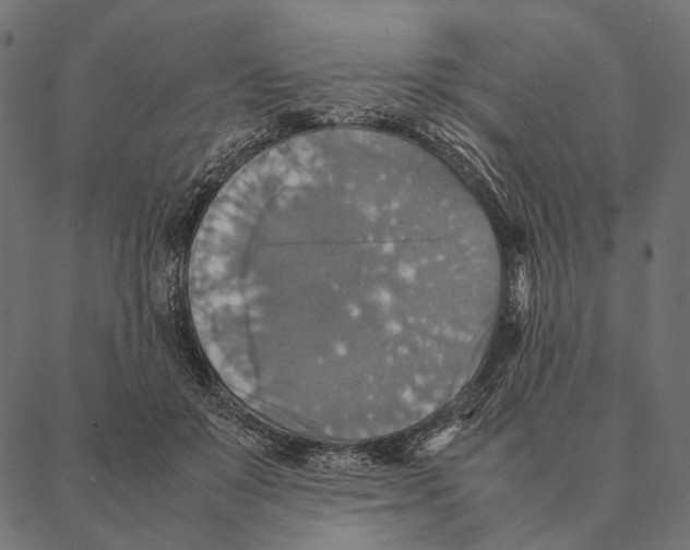 X0000087330503200705181040