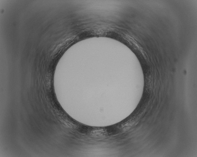 X0000087330505200705181039