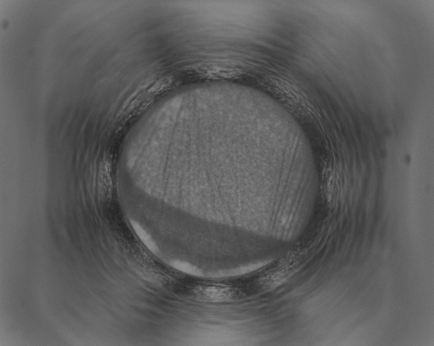 X0000087330506200705181039