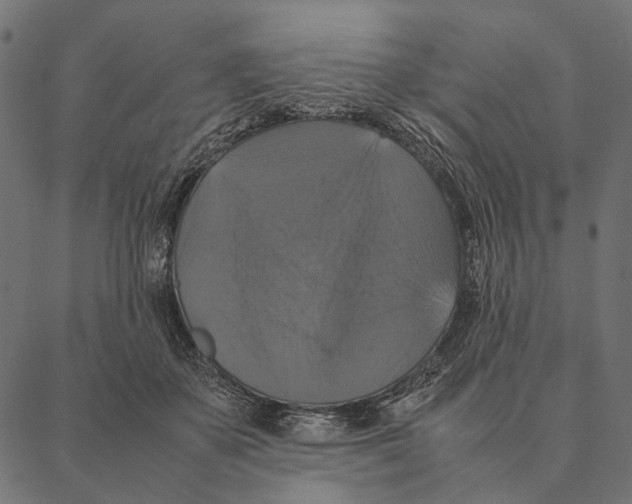 X0000087330507200705181039