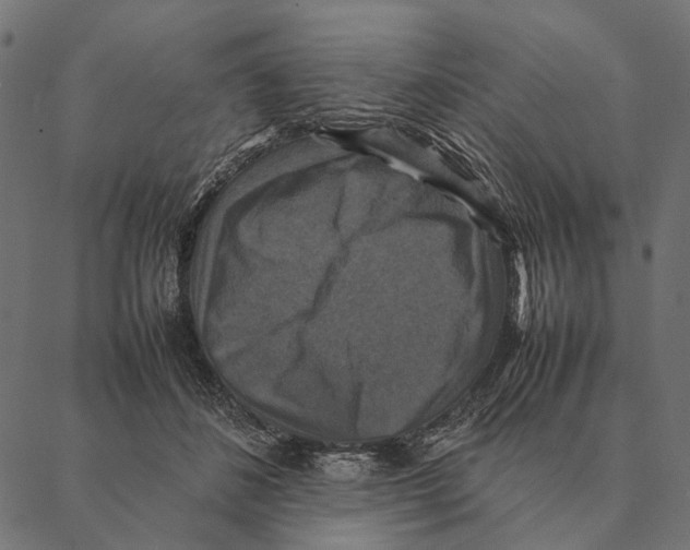 X0000087330508200705181039