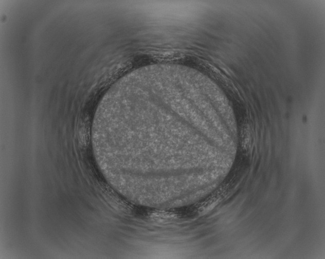 X0000087330515200705181039