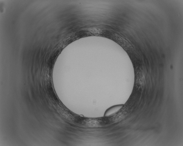 X0000087330518200705181039