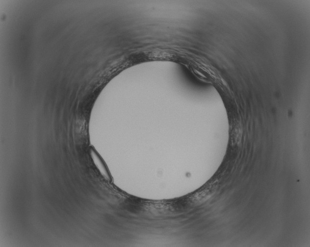 X0000087330521200705181039
