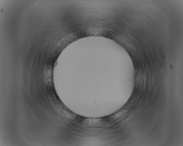 X0000087330526200705181039