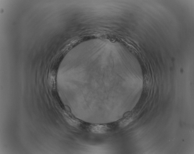 X0000087330527200705181039