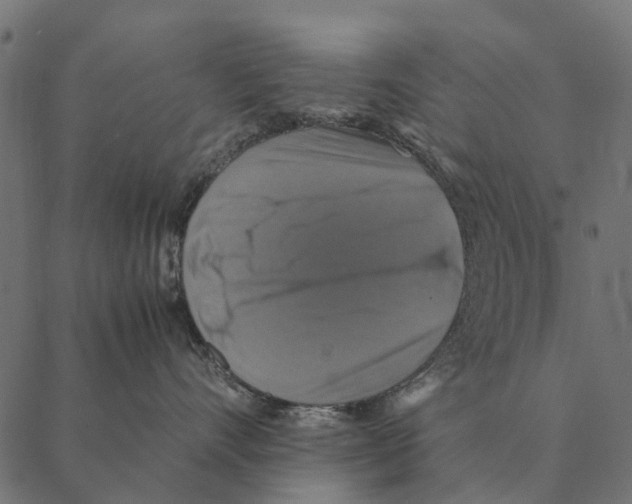 X0000087330528200705181039