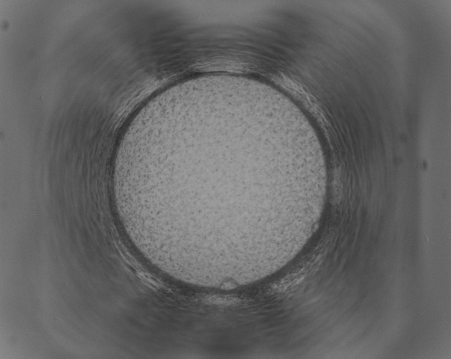 X0000087330529200705181038