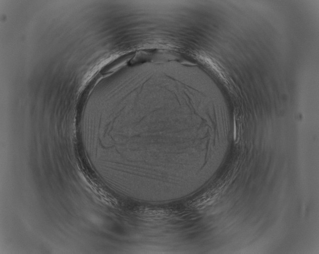 X0000087330531200705181038