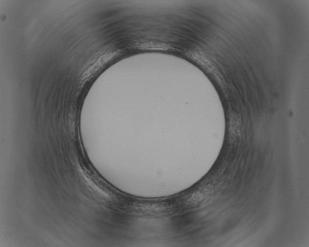 X0000087330533200705181038
