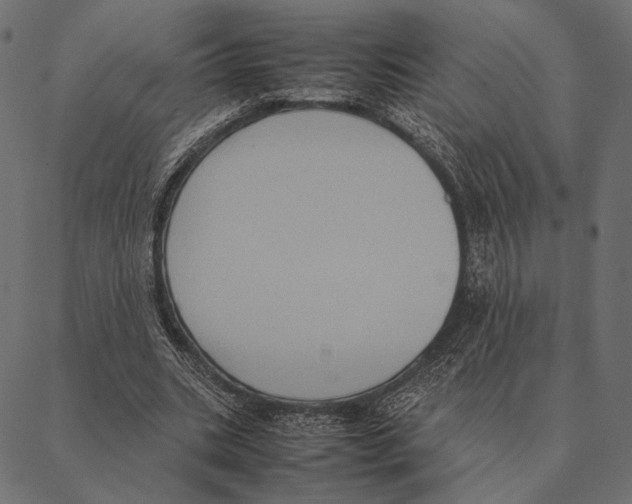 X0000087330535200705181038