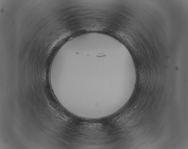 X0000087330539200705181038