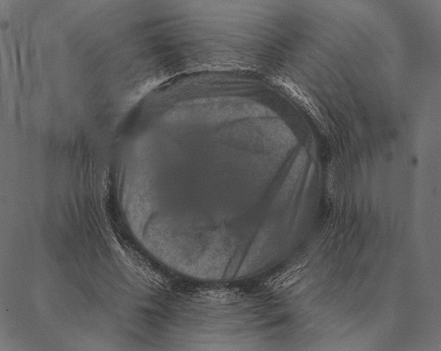 X0000087330540200705181039