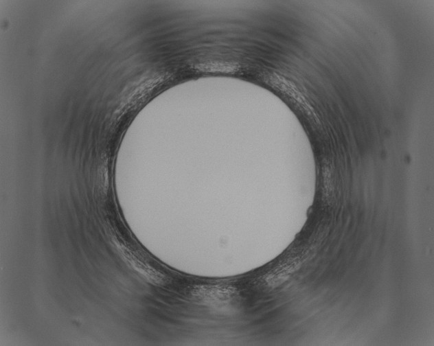 X0000087330541200705181039