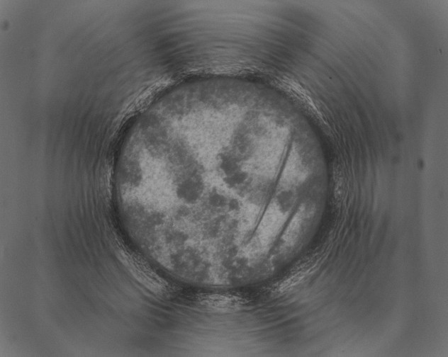 X0000087330542200705181039