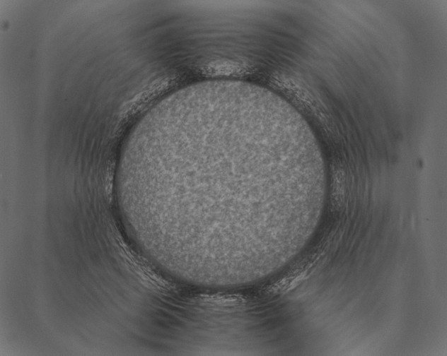X0000087330545200705181039