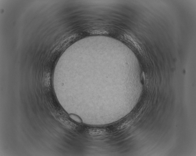 X0000087330549200705181039