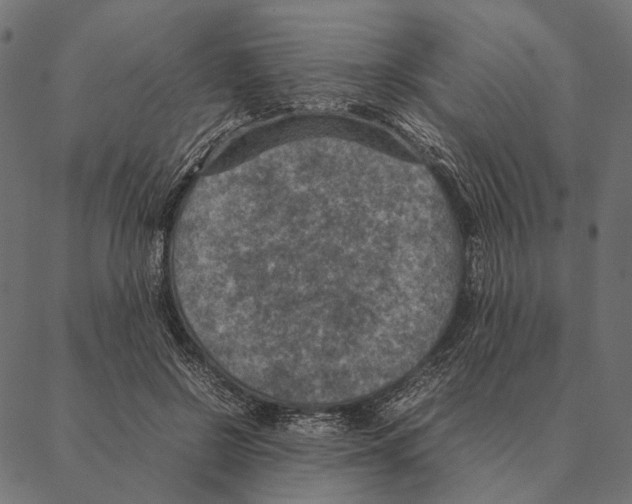 X0000087330550200705181039