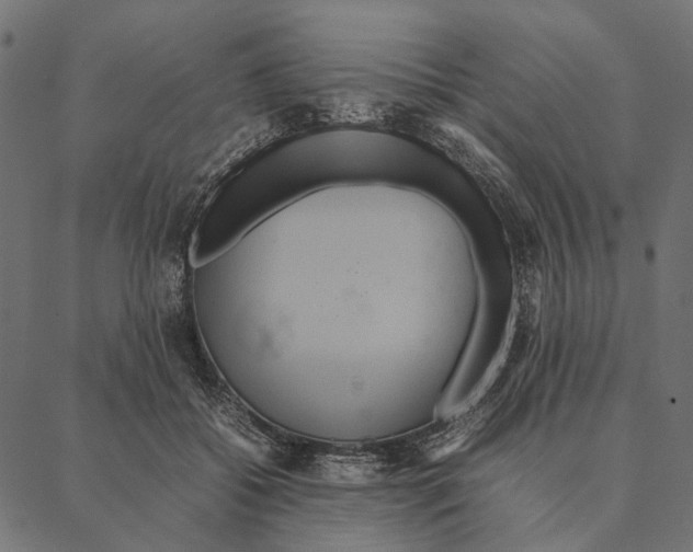 X0000087330556200705181039