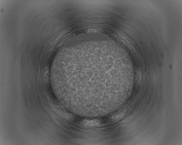 X0000087330557200705181039