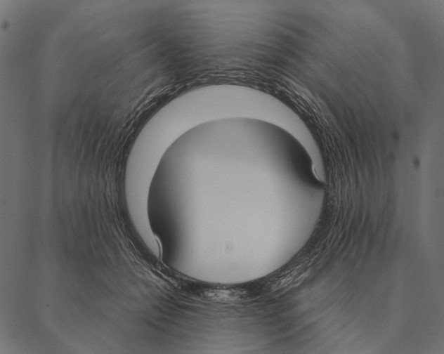 X0000087330558200705181039