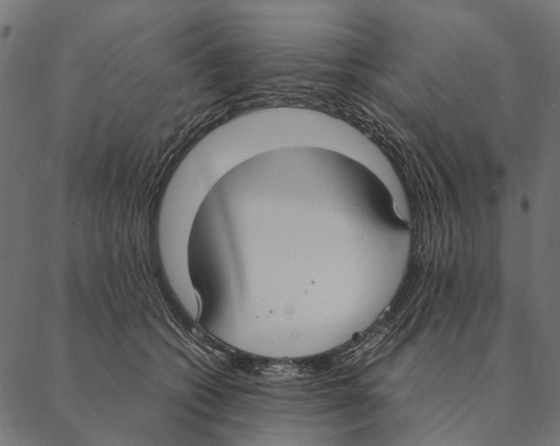 X0000087330562200705181039