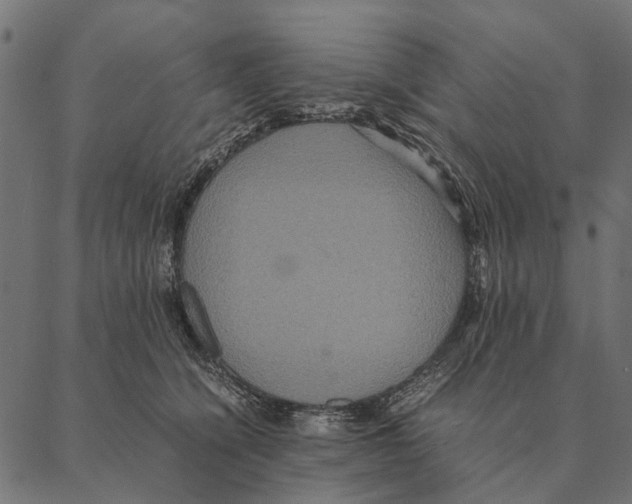 X0000087330564200705181039