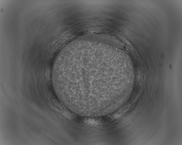 X0000087330565200705181039