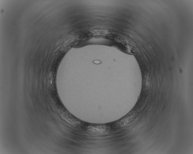 X0000087330567200705181039