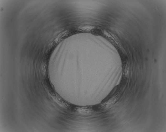 X0000087330568200705181039
