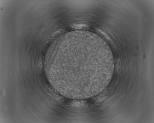X0000087330569200705181039