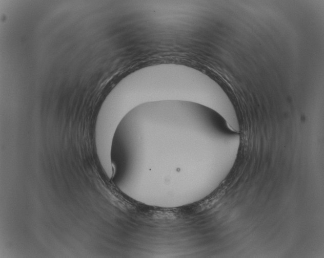 X0000087330572200705181039