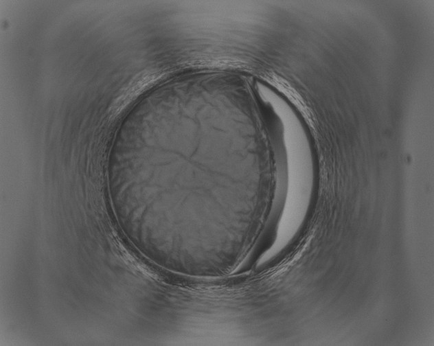 X0000087330577200705181038