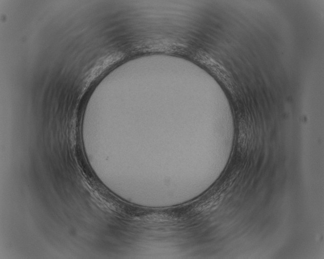 X0000087330578200705181038