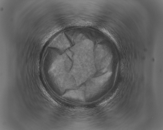 X0000087330581200705181038