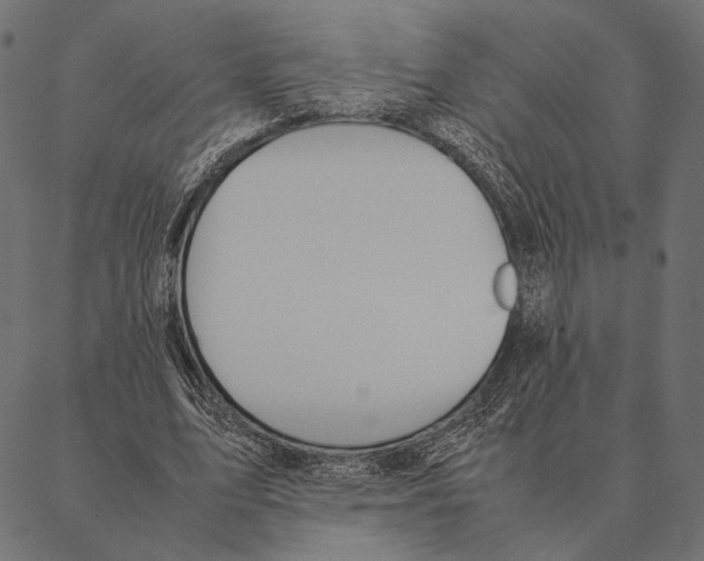 X0000087330583200705181038