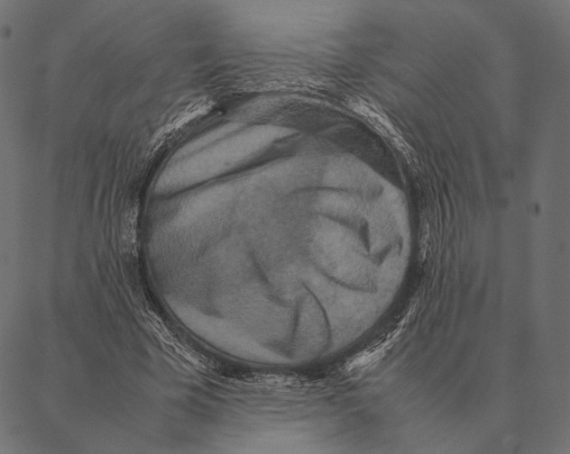 X0000087330585200705181038