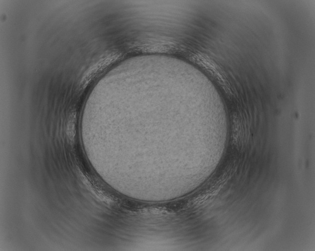 X0000087330586200705181038