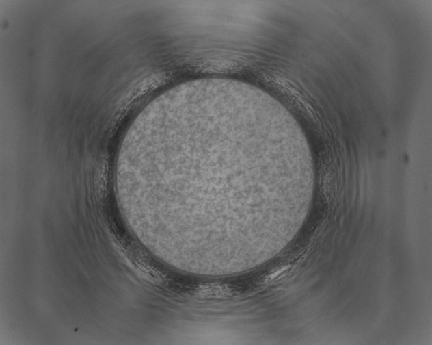 X0000087330591200705181038