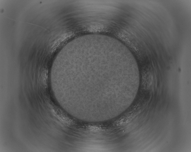 X0000087330592200705181038
