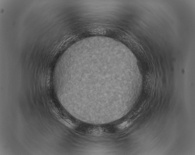 X0000087330600200705181038