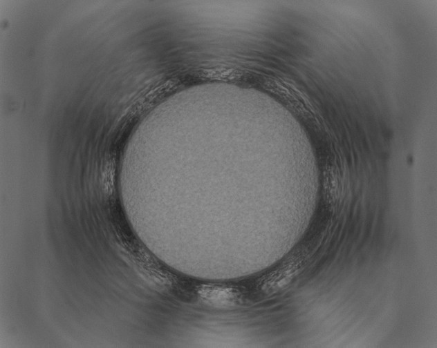 X0000087330602200705181038