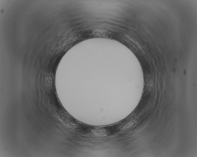X0000087330603200705181038