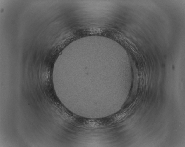 X0000087330608200705181038