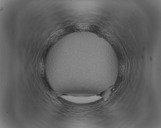 X0000087330609200705181038