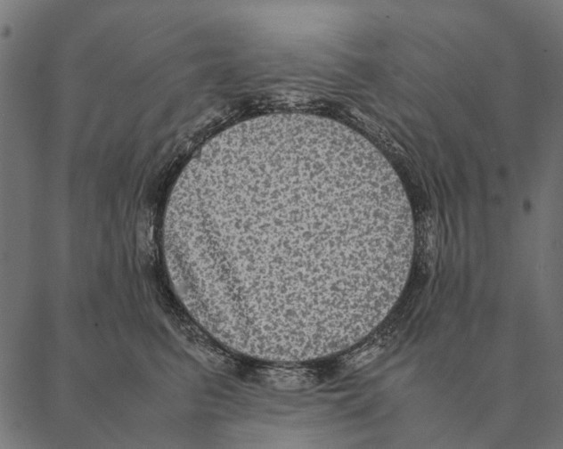 X0000087330615200705181038